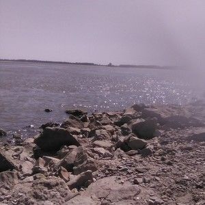 Meet your Posher, Michele